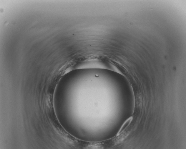 X0000073710280200608101846