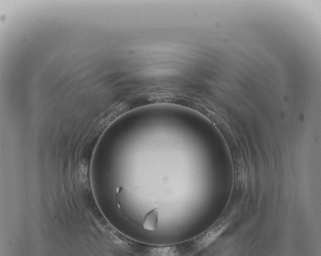 X0000073710281200608101846