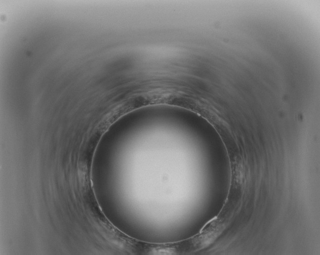 X0000073710283200608101846