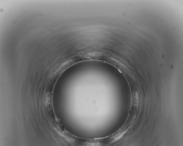 X0000073710284200608101846