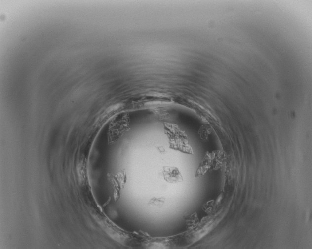 X0000073710285200608101846