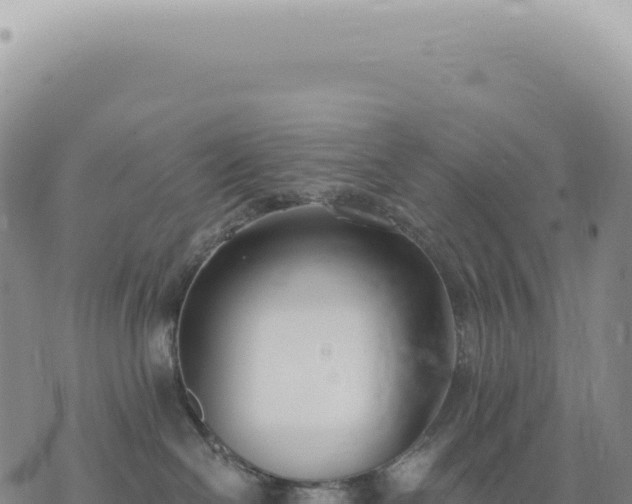 X0000073710286200608101846