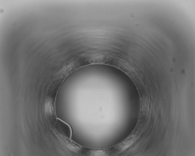 X0000073710287200608101846