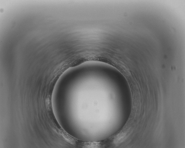 X0000073710288200608101846