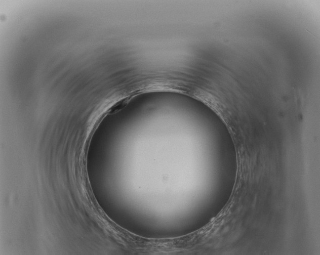 X0000073710289200608101846