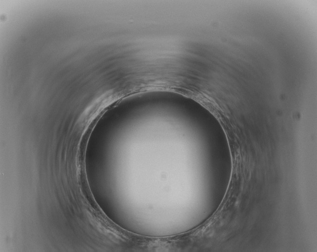 X0000073710290200608101846