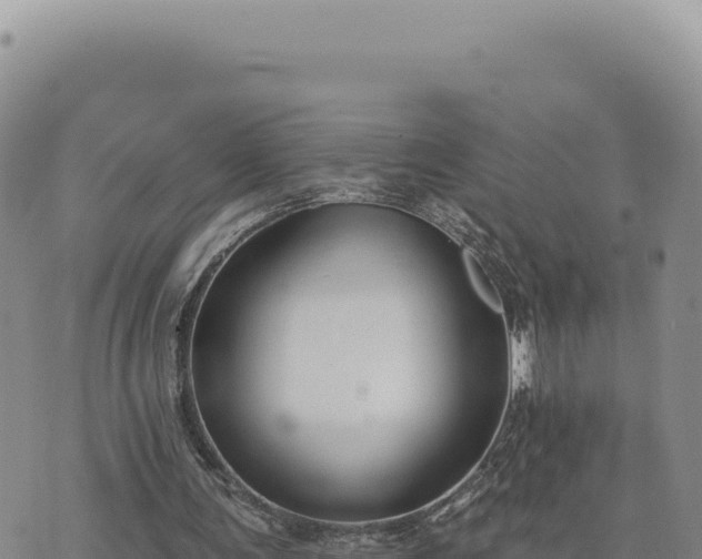 X0000073710291200608101846