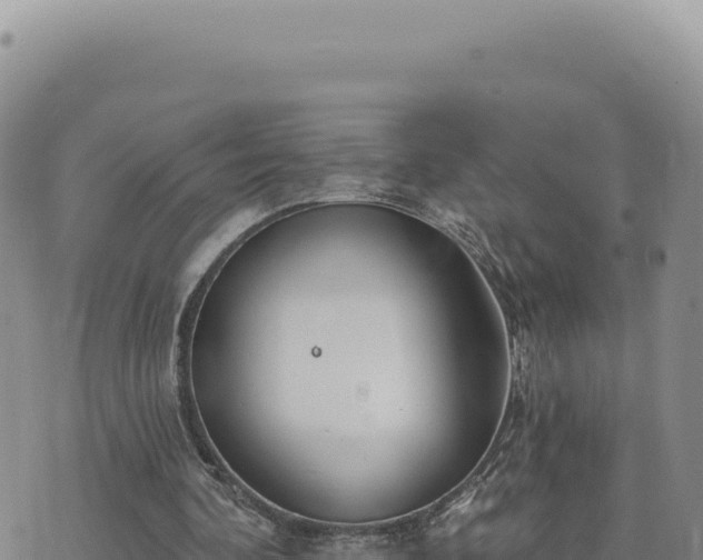 X0000073710292200608101846