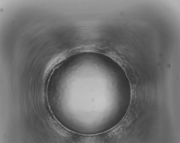 X0000073710293200608101846