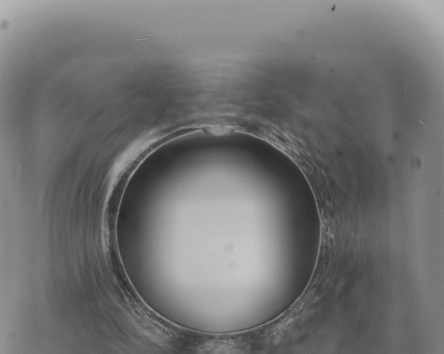 X0000073710294200608101846