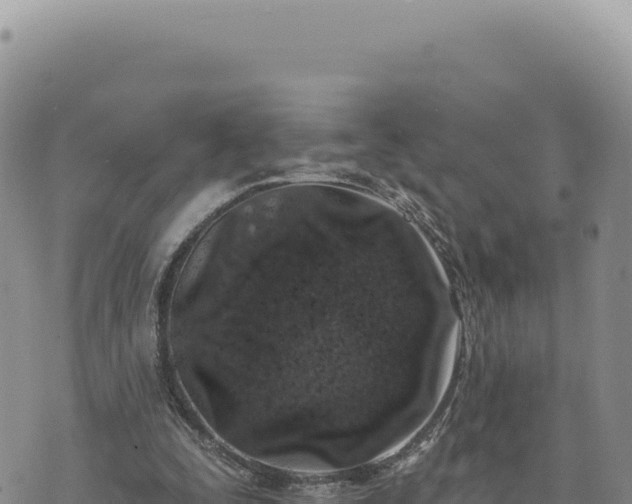 X0000073710295200608101846