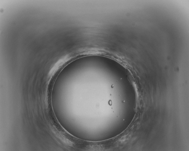 X0000073710296200608101846