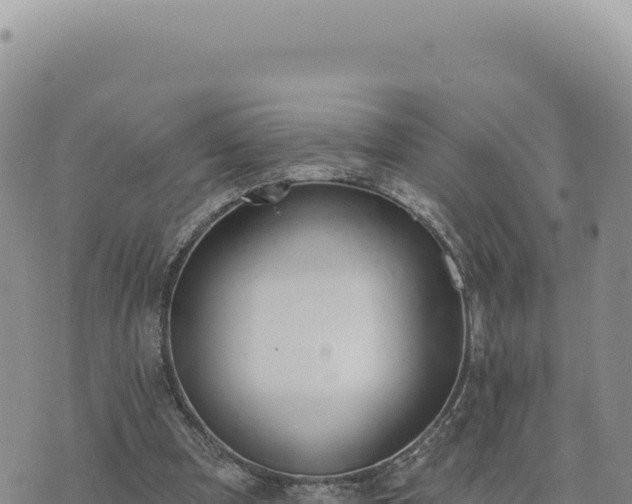 X0000073710297200608101846