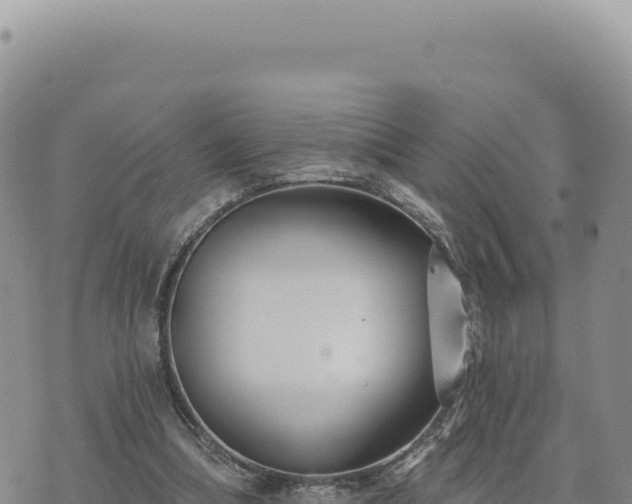 X0000073710298200608101846