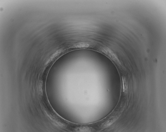 X0000073710300200608101846