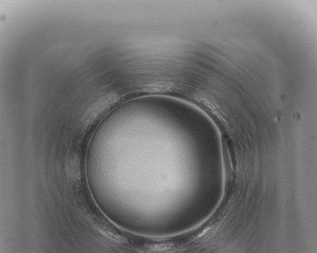 X0000073710303200608101845