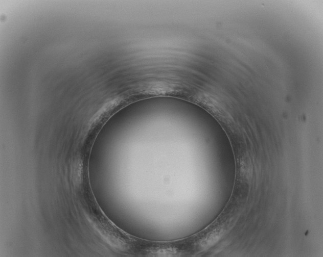 X0000073710304200608101845