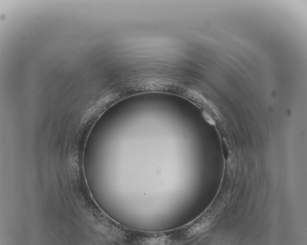 X0000073710306200608101845