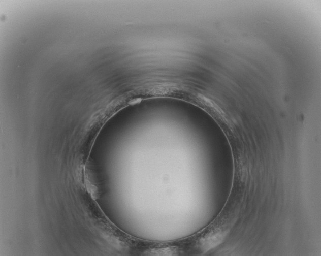 X0000073710307200608101845