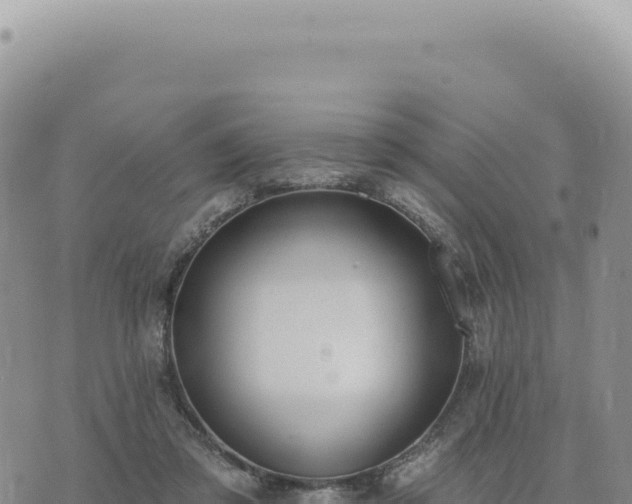 X0000073710309200608101845