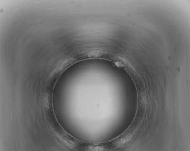 X0000073710311200608101845