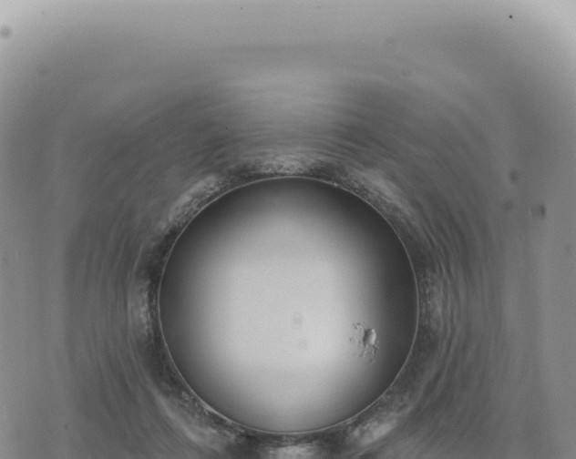 X0000073710312200608101845