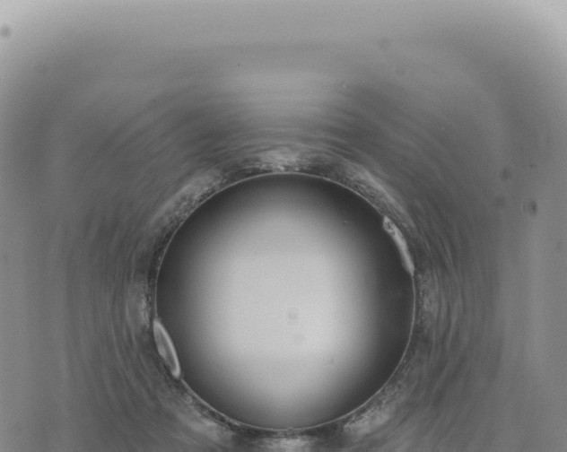 X0000073710313200608101845