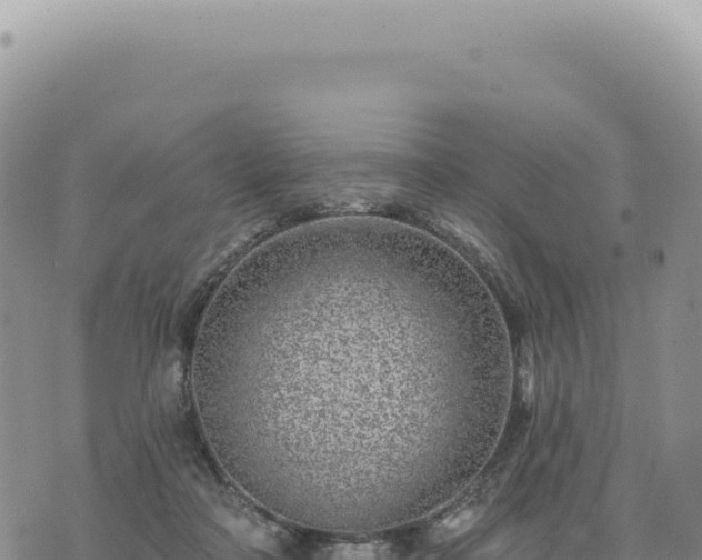 X0000073710314200608101845