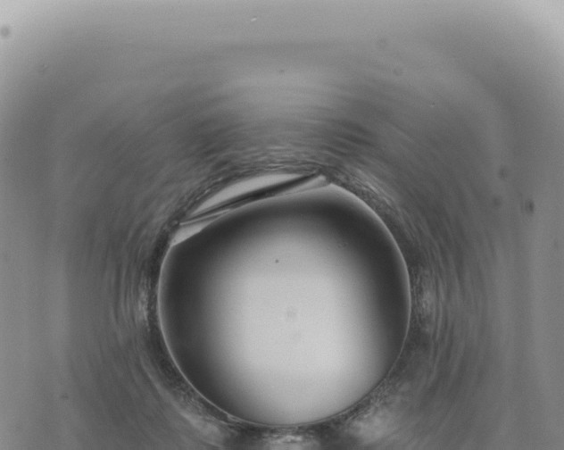 X0000073710315200608101845