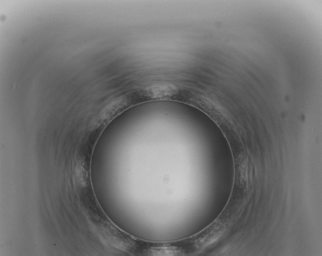 X0000073710316200608101845