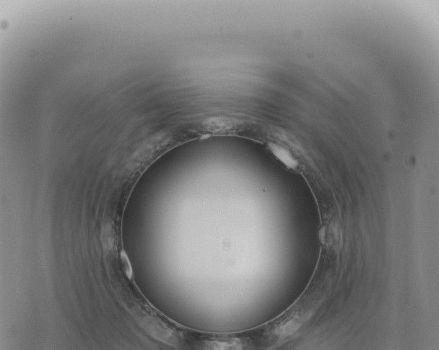 X0000073710317200608101845