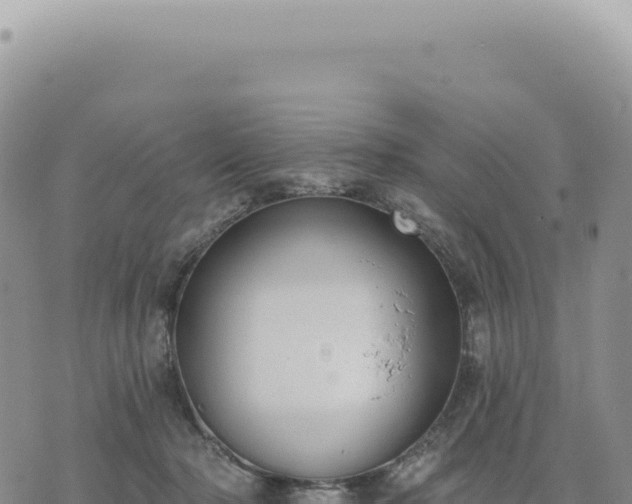 X0000073710318200608101845