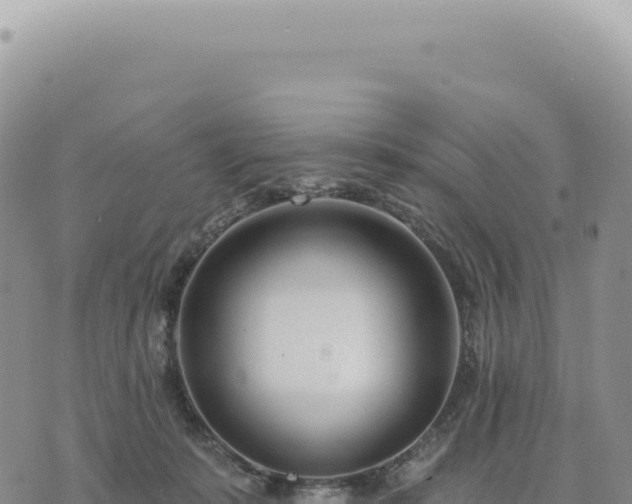 X0000073710319200608101845