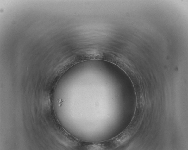 X0000073710320200608101845