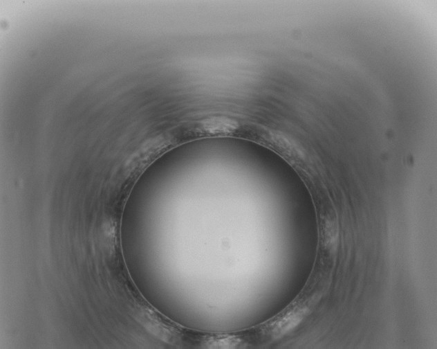 X0000073710321200608101845