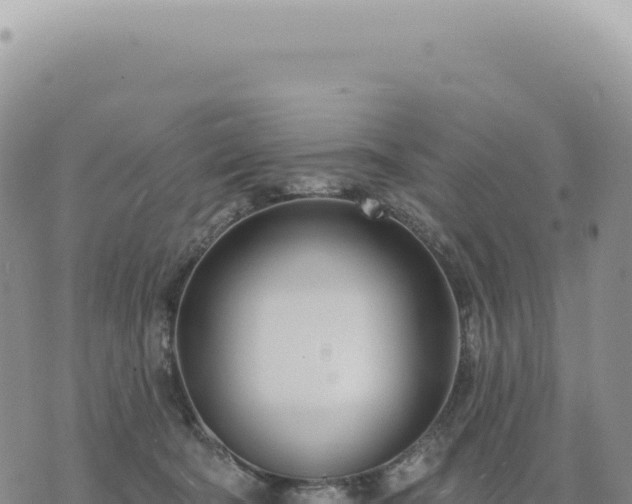 X0000073710322200608101845