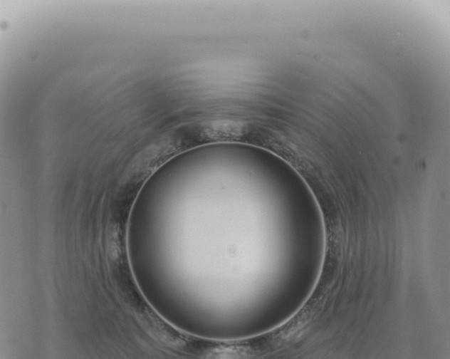 X0000073710323200608101845