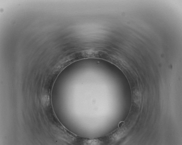 X0000073710324200608101845