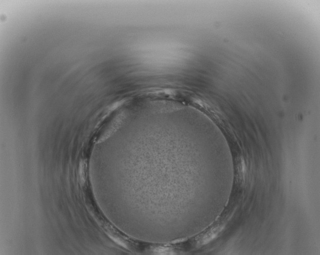 X0000073710325200608101845