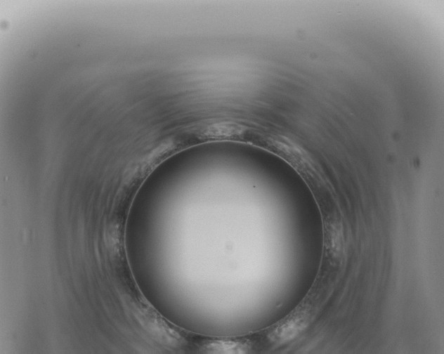 X0000073710326200608101845