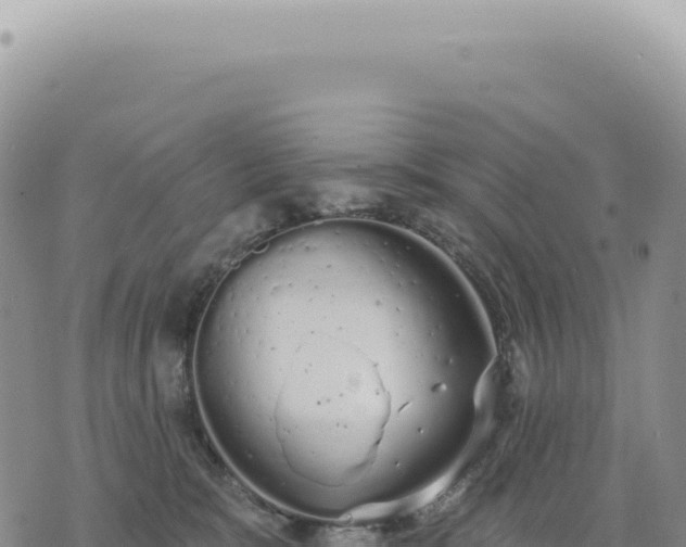 X0000073710327200608101845