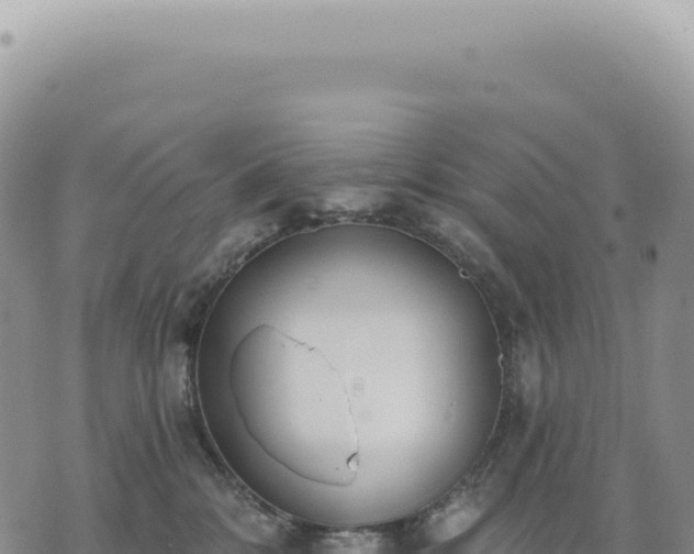 X0000073710328200608101845