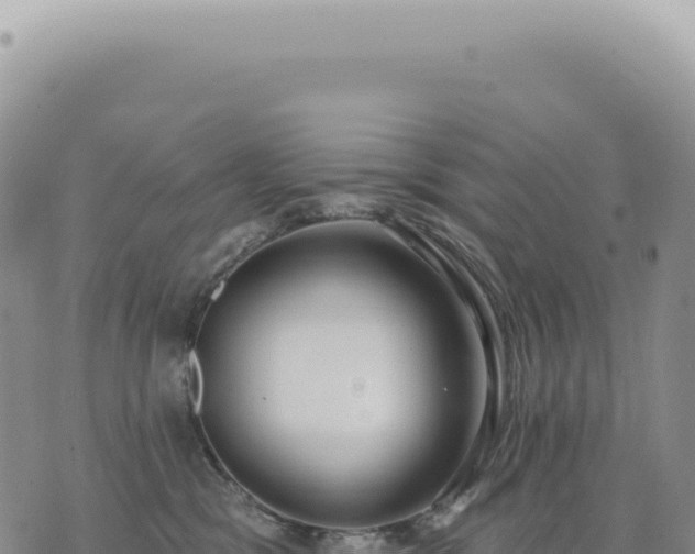 X0000073710329200608101845