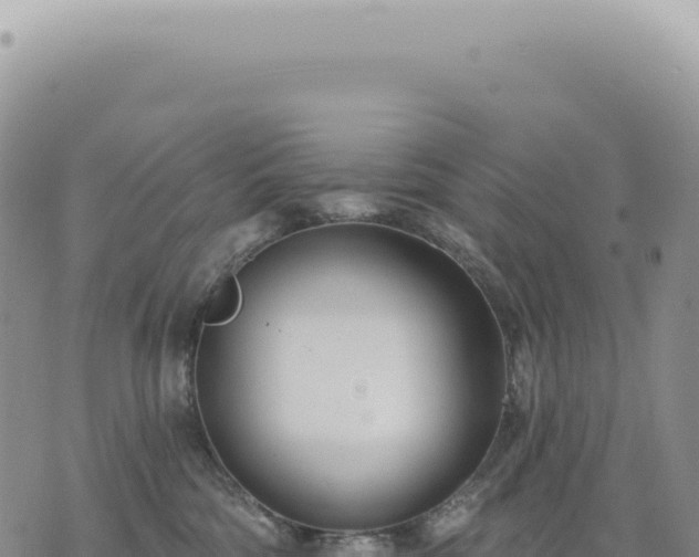 X0000073710330200608101845