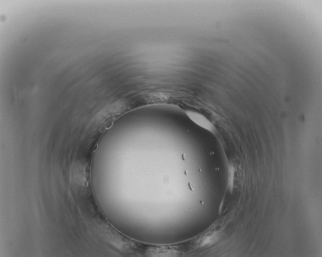 X0000073710331200608101845