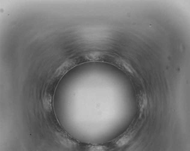 X0000073710332200608101845