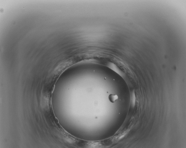 X0000073710333200608101845