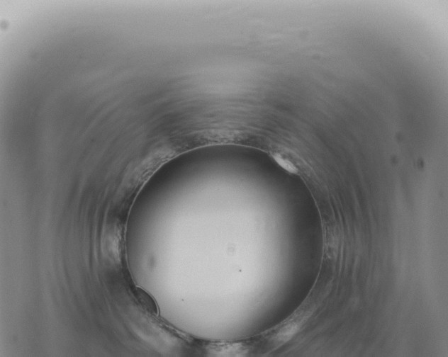 X0000073710334200608101845