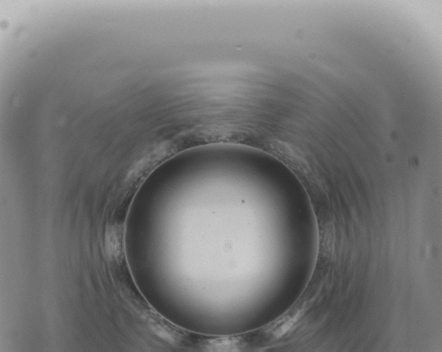 X0000073710335200608101845