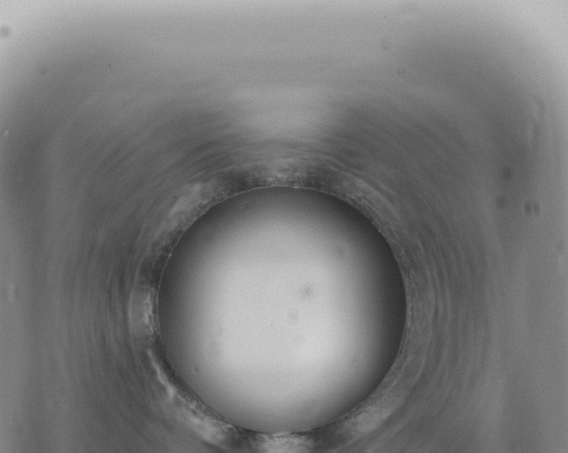 X0000073710336200608101845